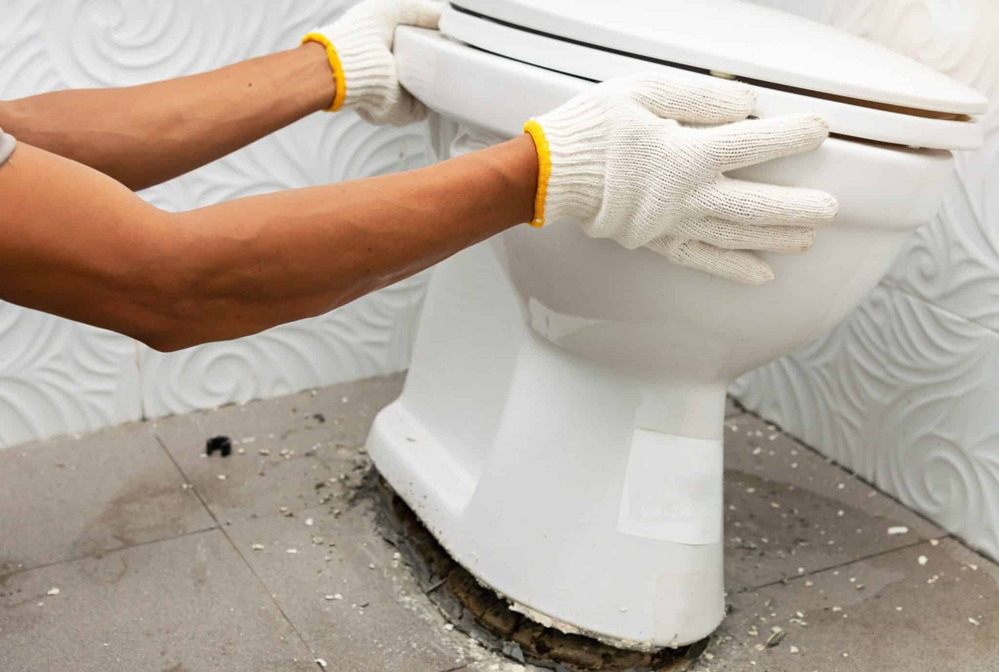 Remove toilet, Toilet Flange Repair.