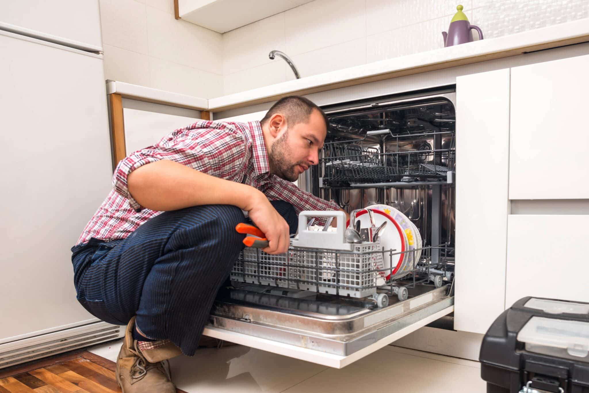 Dishwasher Drain Hose issue.