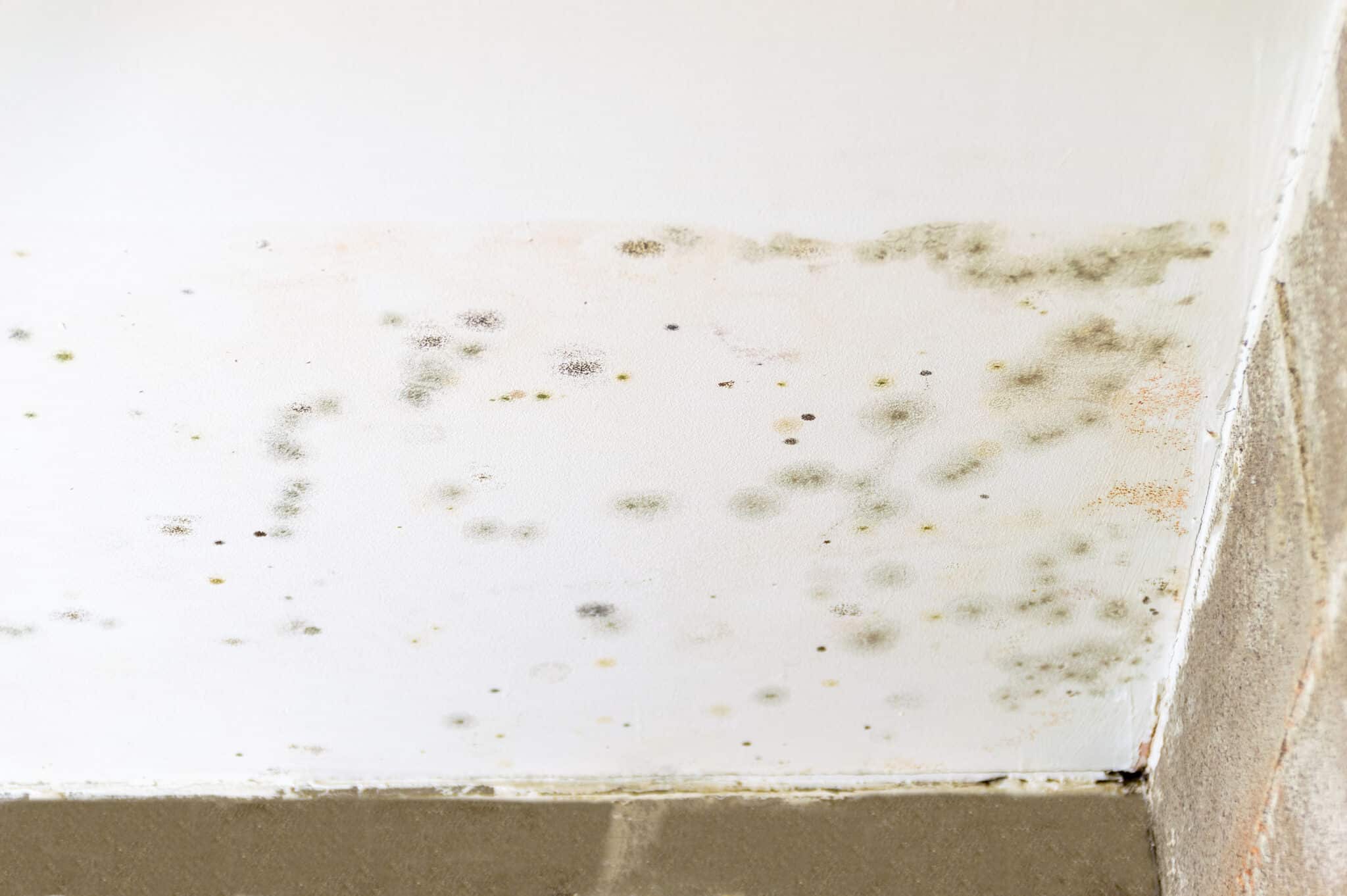 Damage caused by water leakage, Undetected Water Line Leaks.