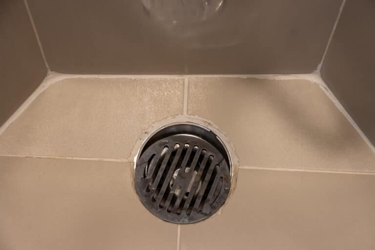 Shower drain odor in Clairemont homes you can stop fast.